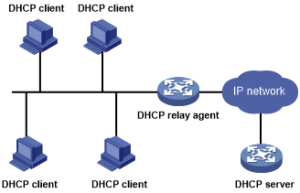 dhcp relay