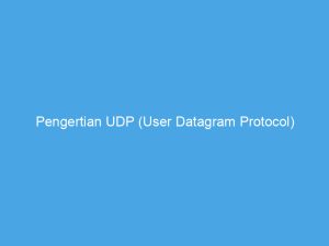 pengertian UDP